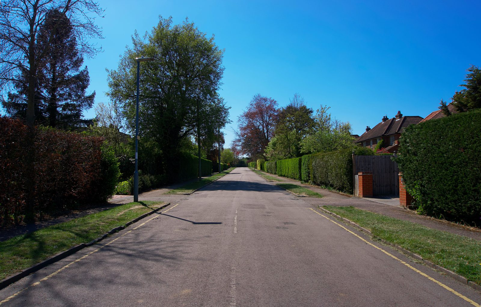 A quiet residential street of brick houses and front gardens